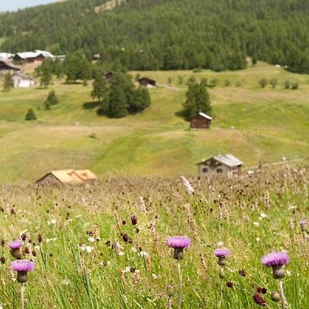 Sole - Casa Azzurra Piano Terra Lejlighed Livigno Eksteriør billede